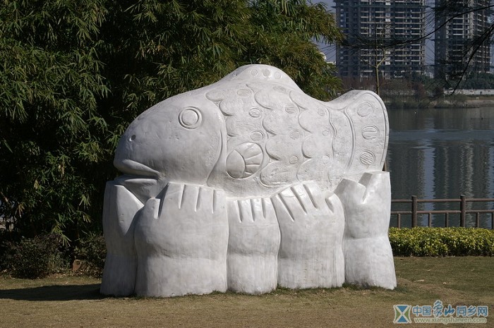 023鱼歌.jpg
