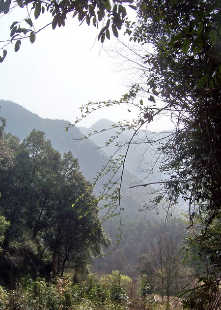 100_5177.jpg