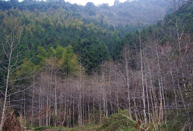 100_5157.jpg