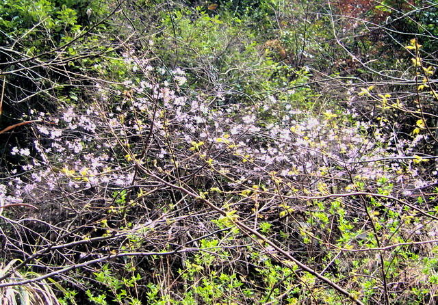 100_5160.jpg