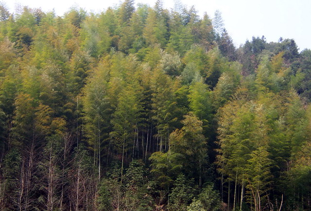 100_5195.jpg