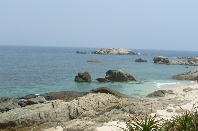 S1052406.JPG