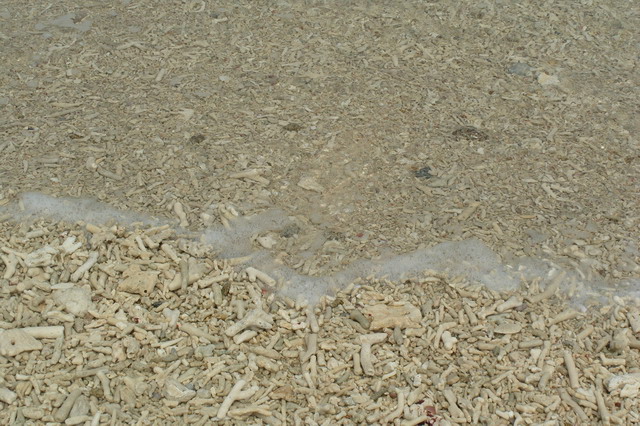 S1052386.JPG