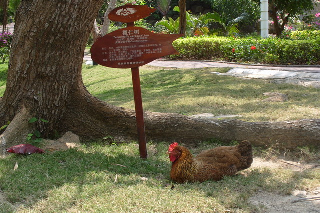 S1052435.JPG