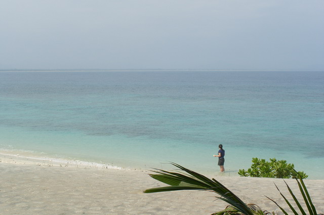 S1052461.JPG
