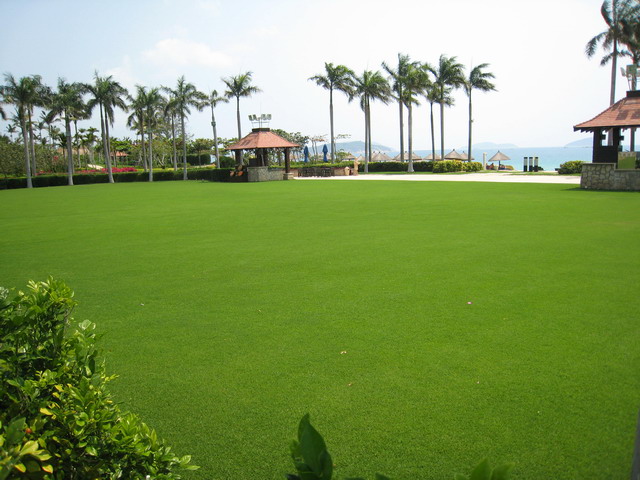 IMG_1845.jpg