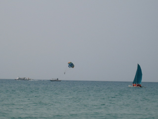 IMG_1784.jpg