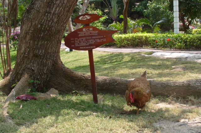S1052436.JPG