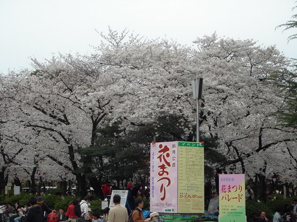 DSC08558.jpg