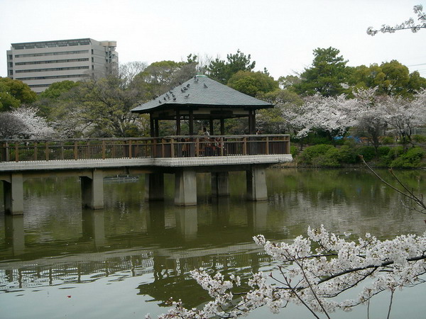 DSC08612.jpg