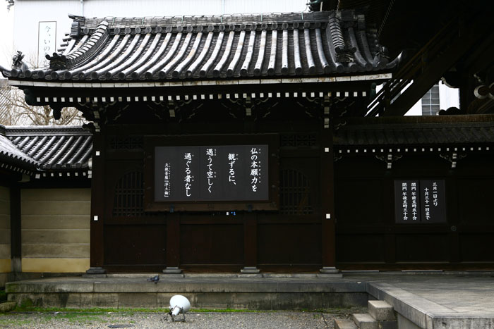等待中拍的日本寺院厢房
