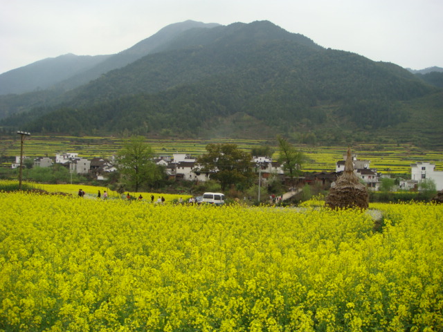 DSC00387.JPG