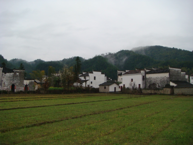 DSC00428.JPG