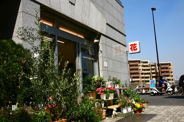 简单的花店