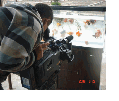 1207209185359.gif