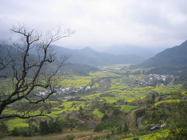 梯田远景