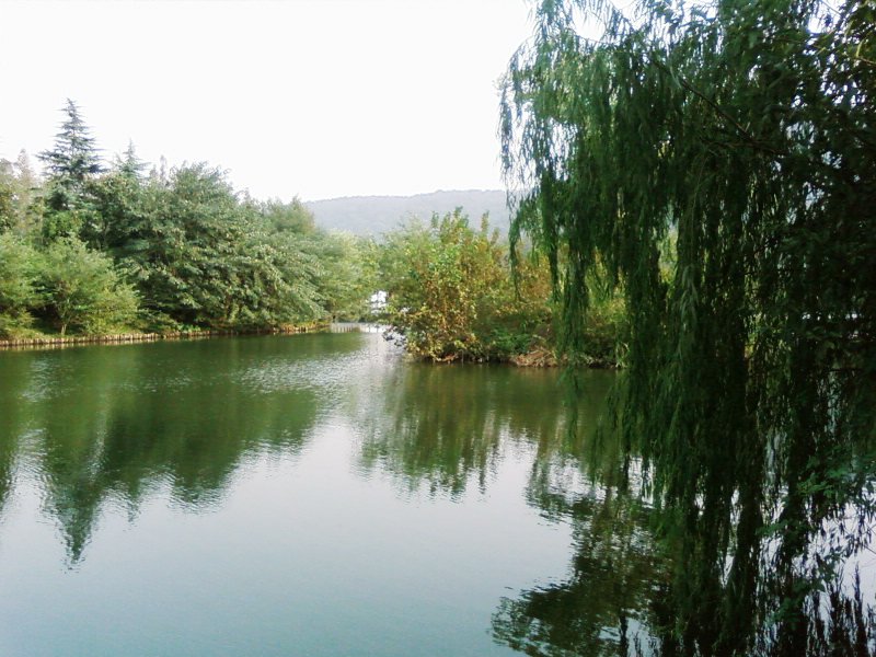 杭州三台山一角