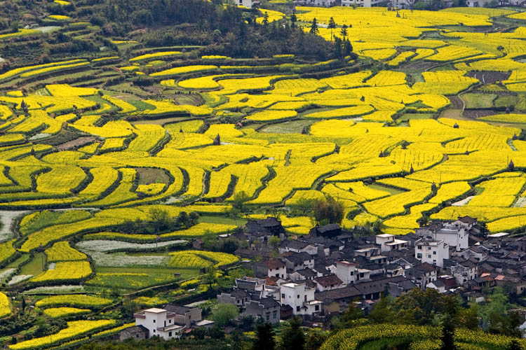 锦绣大地.jpg