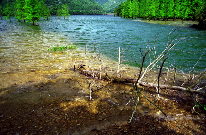 pict0019.jpg
