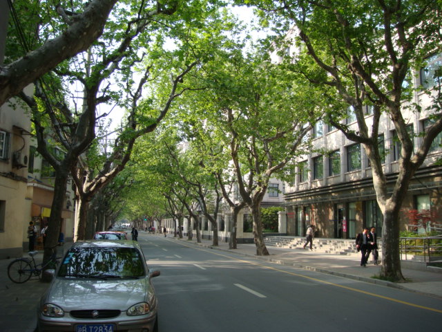 高安路