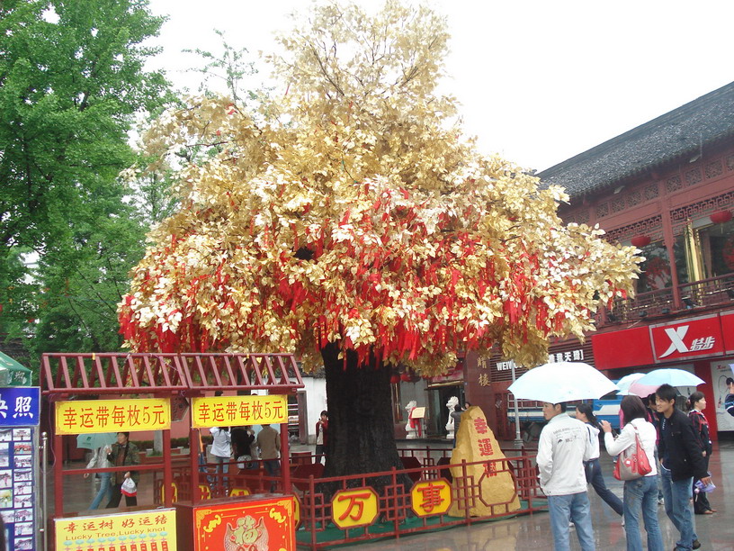 秦淮河 (1).JPG