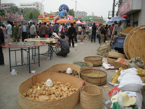 DSCN1085.jpg