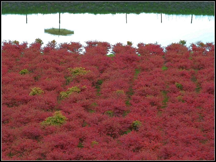 照片 049.jpg