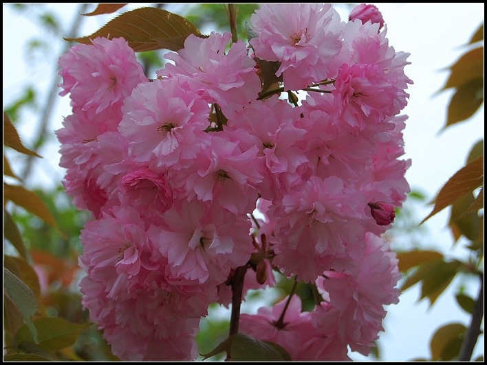 照片 015.jpg
