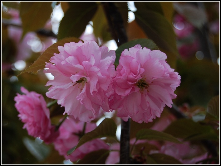 照片 017.jpg