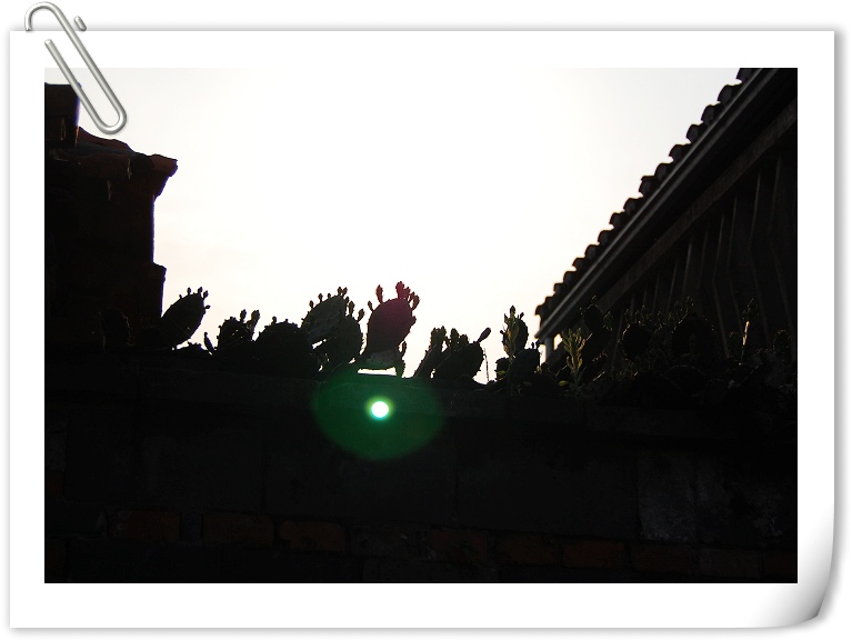 照片 069.jpg