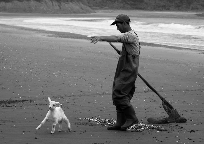 拾海者 (3).jpg