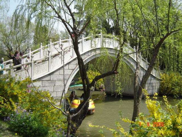 DSC05834.JPG