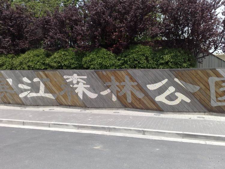 滨江森林公园