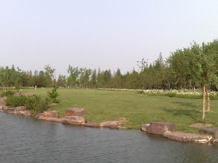 20080501481.jpg