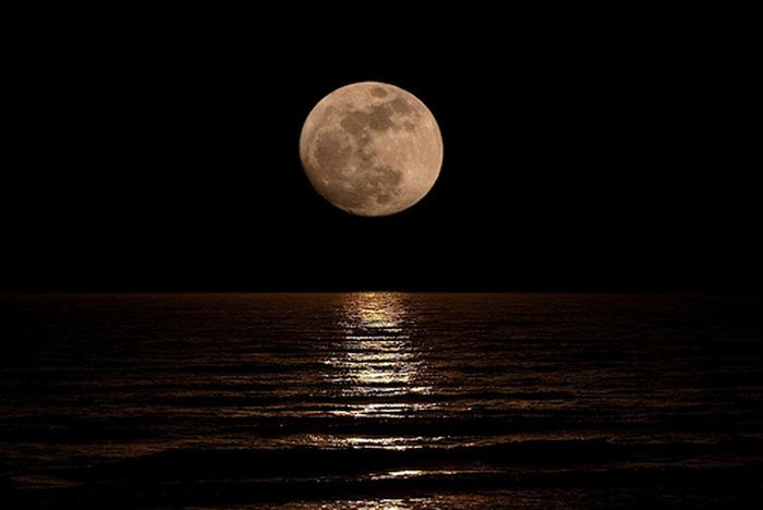 luna_003.jpg