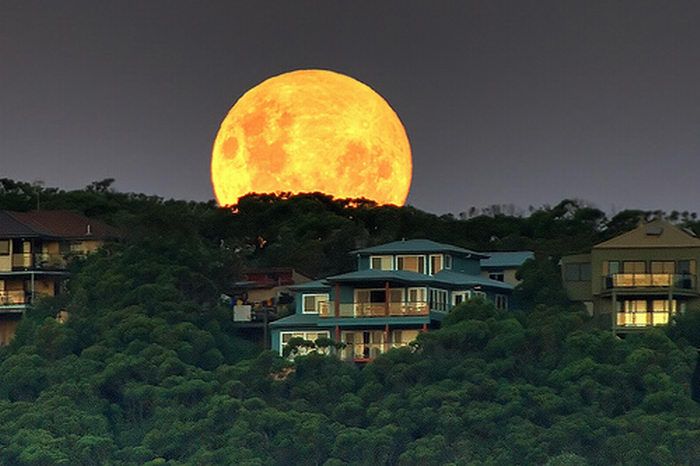 luna_025.jpg