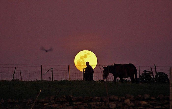 luna_024.jpg