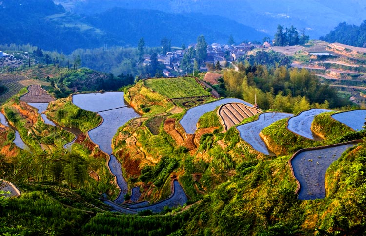 山村梯田.jpg
