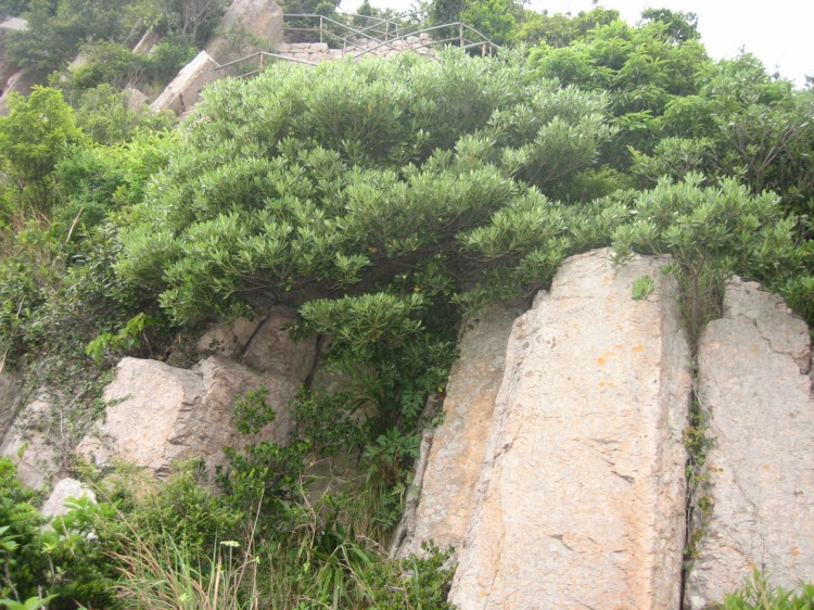 花岙岛之行 125.jpg