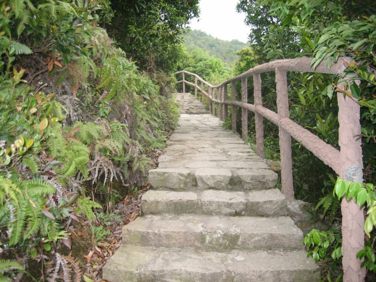 花岙岛之行 179.jpg
