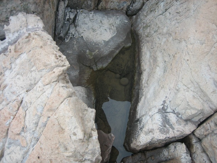 花岙岛之行 124.jpg