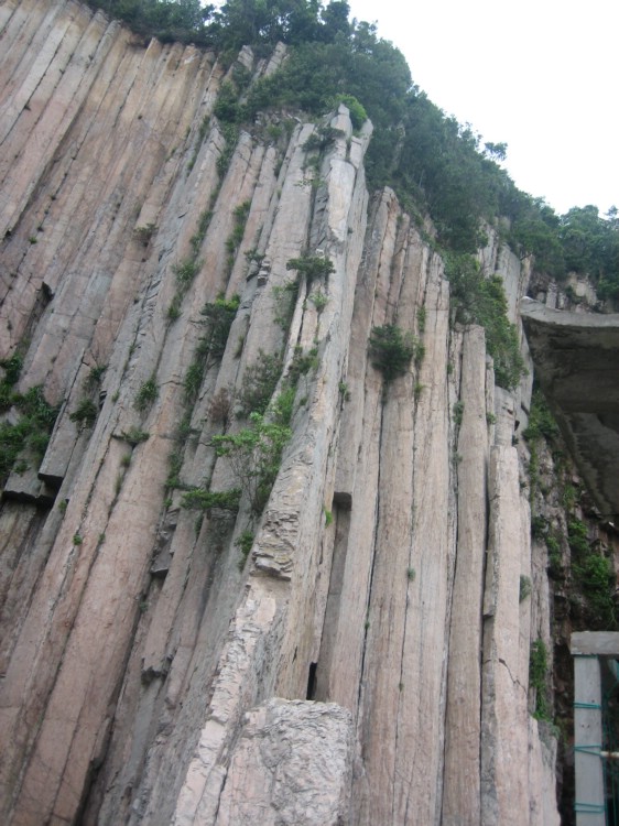 花岙岛之行 132.jpg
