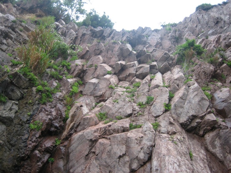 花岙岛之行 168.jpg