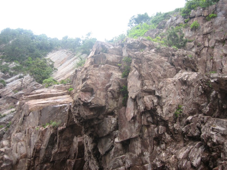花岙岛之行 173.jpg
