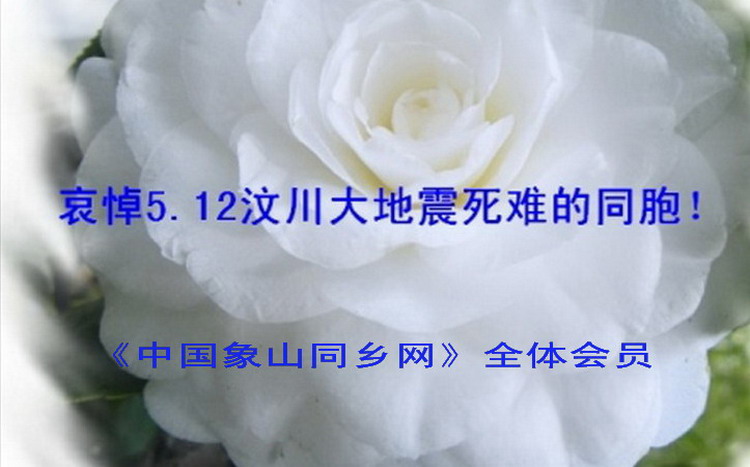 11a8fe86392.jpg