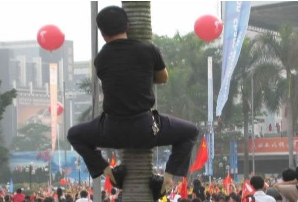 我爬我看