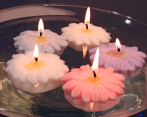 20080520_1558c0c7a17102ebcfe5B5O6igBTyGDy.gif