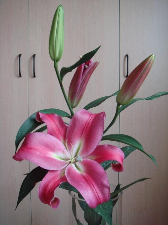DSC00839.jpg