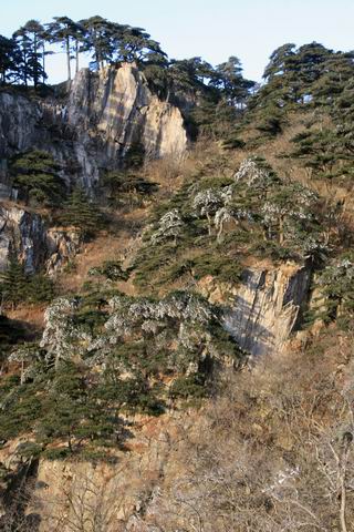 调整大小 IMG_5670.jpg
