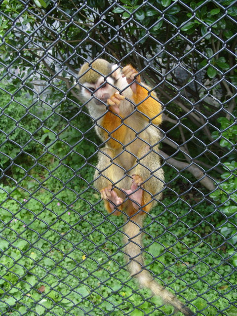 S1053060.JPG